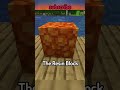 this block will change minecraft forever