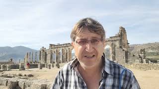 Римские мозаики Волюбилиса ( Марокко ). 21.11.2022. Volubilis ( Morocco ): roman mosaics.