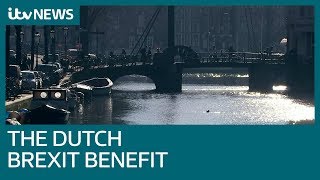 Why the Dutch could benefit from Brexit | ITV News