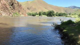 6/2/20 SALMON AND LEMHI RIVERS WATER LEVELS REPORT