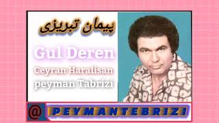 Peyman Təbrizi _ Gülderen  ay Gülderen (    پیمان تبریزی - گول درن آی گول درن)