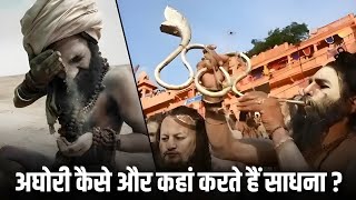 अघोरी: कौन हैं ये रहस्यमयी साधु? | महाकुंभ 2025 की तैयारी | अघोर पंथ का इतिहास