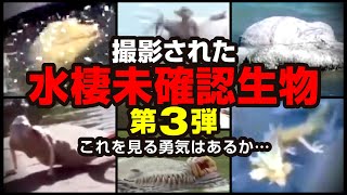 【映像】撮影された水棲未確認生物 第３弾