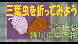 【作ってみよう】理科 三葉虫の折り紙