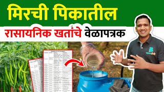 मिरची खत व्यवस्थापन | mirchi khat niyojan