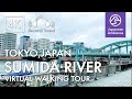 Asakusa Walk in Tokyo, Walk from Sumida Hokusai Museum to Sumida River [4K/Binaural Walking Tour]