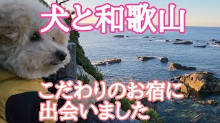 【犬と和歌山　お泊り】個性派お宿で癒しの時間を過ごしました🐶ビショプーのポノ