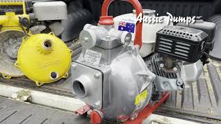 Aussie Wet End Kits   |  Rebirth an old pump