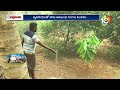 4 ఎకరాల్లో కొబ్బరి నిమ్మ కోకోసాగు mixed cropping agriculture technique matti manishi 10tv