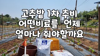 고추밭 1차추비 질소질과 칼슘성분이  많이 들어간 비료가 좋습니다