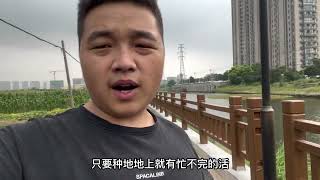 货拉拉暂时不跑了，小伙带爸妈回农村老家，一个人开车累并快乐