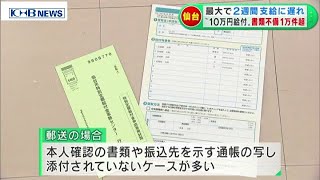 “10万円給付”書類不備1万件超　支給に遅れ　（20200624 OA）