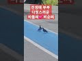 전생에 부부일까~