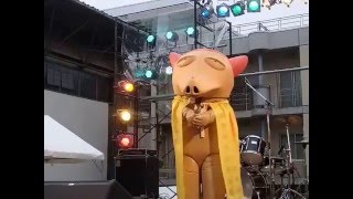 ペッカリー 夢のワンダーランド