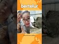 detik-detik burung unta bertelur #shorts