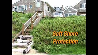 Planting willows to prevent coastal erosion