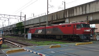 【2023/07/11 東北本線を走る貨物列車･かすかに汽笛あり】4051ﾚ トヨタロングパスエクスプレス(下り 笠寺→盛岡タ･EH500-81牽引)