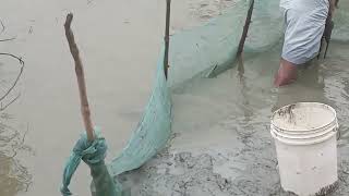 গ্রামে পুকুরে মাছ ধরলাম || My village 98