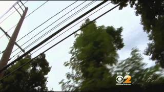 Power Poles Spark New Fight Across Long Island