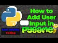 How to Add User Input: Pygame Text Box Step-by-Step Guide