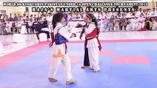 So-Kyokushin Karate Girls Amazing Fight