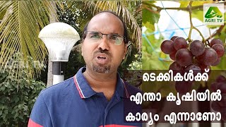 ടെക്‌നോപാർക്കിലെ സോഫ്റ്റ്‌വെയർ എഞ്ചിനീയർ ആയ പ്രജീഷിന്റെ വീട്ടിലെ കൃഷി തോട്ടം ഒന്ന്  കണ്ട്  നോക്കു.