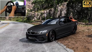 BMW M4 - Forza Horizon 5 | PXN V10 Steering Wheel Gameplay