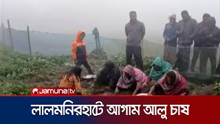 লালমনিরহাটে আগাম আলু চাষে ব্যস্ত সময় পার করছে কৃষকরা | Lalmonirhat | Potato Cultivation | Jamuna TV