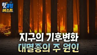 [핫클립 베스트] 지구의 5차 대멸종의 공통적인 원인은 무엇일까? / YTN 사이언스