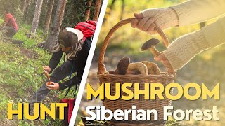 Picking Wild Mushroom Hunting | Siberian Forest | Mushroom Foraging | Forest Hunting #22