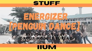 PENGUIN DANCE | STUFF ENERGIZER