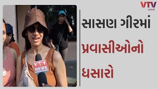 Junagadh News: નાતાલના મિનિવેકેશનમાં પ્રવાસીઓ જંગલ અને એશિયાટિક લાયનને જોવા સાસણ ગીરમાં ઉમટ્યા