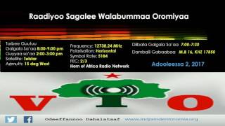 RSWO - Adooleessa 2, 2017 - ODUU, DHAAMSA RSWO FI QOPHII BIROO DHAGEEFFADHAA