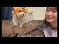 【ナイトルーティン🌙】犬と暮らす20代飼い主の秋を感じる幸せな休日夜🎃 犬のいる生活 nightroutine