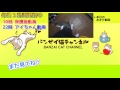 たっぷり遊んで電池切れな子猫がかわいい