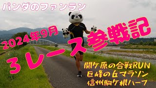 【パンダのファンラン】マラソンシーズン到来。2024年9月参戦の3レースをハイライトで紹介します。