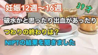 【妊娠初期】12週〜16週つわりの症状｜NIPTの結果｜破水かと思ったら‥出血も‥｜39歳高齢妊娠｜ジェンダーリビールケーキ｜性別発表