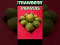 Strawberry Papayas Proudly Grown in Southern California