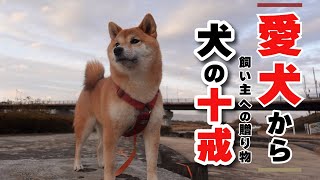 No-161 犬の十戒〜愛犬から飼い主へのメッセージ