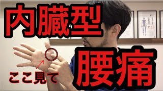 内臓由来の腰痛ならここ押してみて！ 横浜市 中区 関内 腰痛専門整体院 桜花