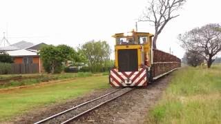 Sugar Cane Train - Queensland, Australia