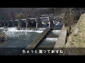 【渓流釣り 余笹川】3 15 釣り人を取材しに行ったが、変なモノに気づいてしまった。river healing channel （リバヒ）