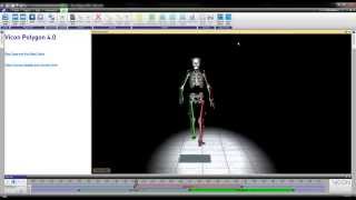 Vicon Polygon 4 Bewegingsregistratie Software