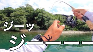 【ビックリ】魚を釣らせるプロに釣りガイドを頼んだら想像以上だった