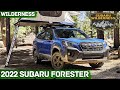 New 2022 Subaru Forester Wilderness Edition - Review (CARS&NEWS)