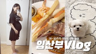 임산부VLOG) 28-30주차 먹부림하는 임당 임산부 일상기록🤰🏻 | 임당아기 초음파, 마키노차야 월드타워뷔페, 밀푀유나베, 메드포갈릭, 청와옥, 솥뚜껑삼겹살