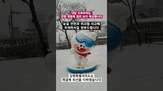 눈이 참 많이도 오네요