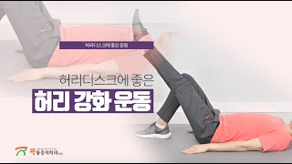 허리디스크에 좋은 허리 강화 운동