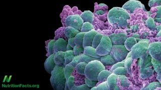 Cancer, Interrupted: Green Tea