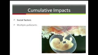 Air Pollution \u0026 Preterm Birth. Amy Padula | Cumulative Impacts \u0026 Kids 9